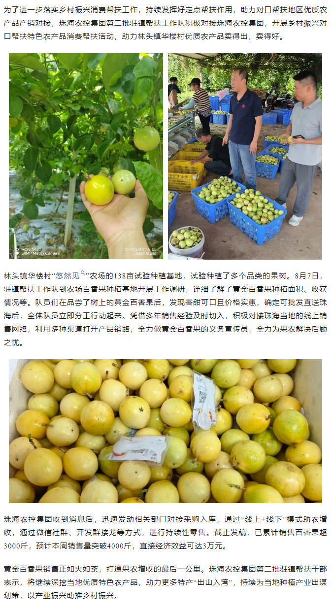 华体平台_华体(中国)一站式服务平台集团助力产销对接 对口帮扶果香飘百里.png